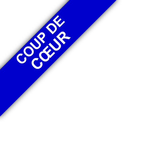 bandeau VS IMMOBILIER